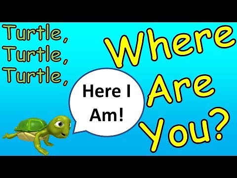 Have You Seen My Turtle? - New Read Aloud Story