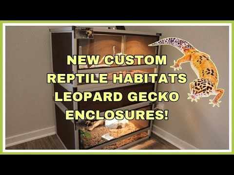 Custom Reptile Habitats: An eco-friendly enclosure? | Kam's Reptiles