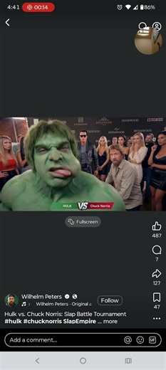 Chuck Norris Vs Hulk