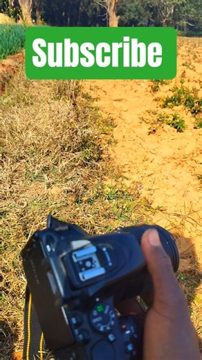 How to use Nikon DSLR Camera | DSLR Camera kaise chalaye 📸🔥 #shorts #short #shortvideo #ytshorts