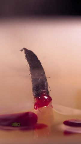 Candle and Ink: ASMR Slow Motion Satisfying Moments