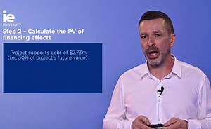 The APV of a Project or Business