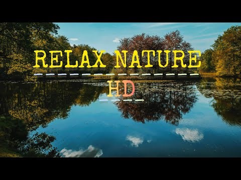 1 Hour of Beautiful Nature Scenes | Calm & Relaxing Ambience 🌿