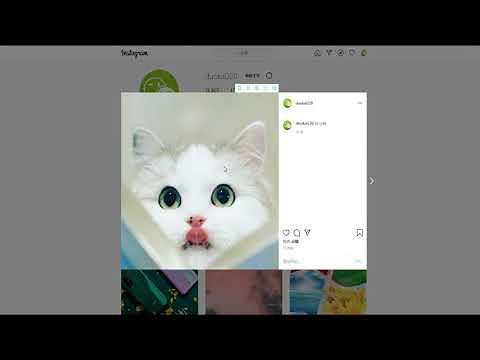 简单三步骤教你Instagram在电脑网页端上传视频、图片、发文，免安装