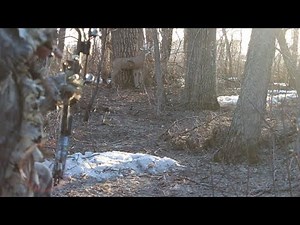 Bow Hunting with Explosive Arrows