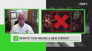 VERIFY: Yes, COVID-19 can be detected through a blood test and you can get it more than once