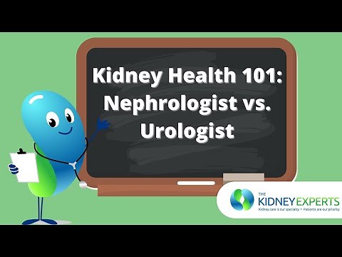 Kidney Health 101: Nephrologist vs. Urologist