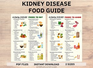 Kidney Disease Food List, Kidney Friendly Food List, Kidney Diet List for Low Potassium Meal Plan, Kidney Disease Diet, Kidney Foods Chart - Etsy