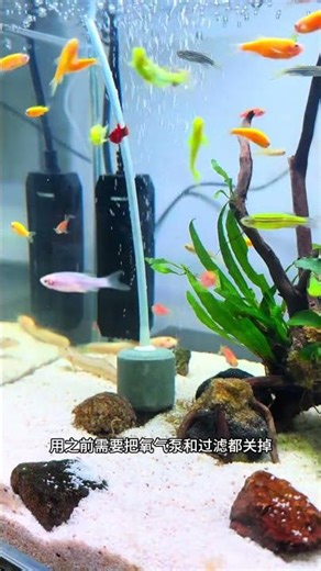 using chlorine dioxide to disinfect a fish tank
