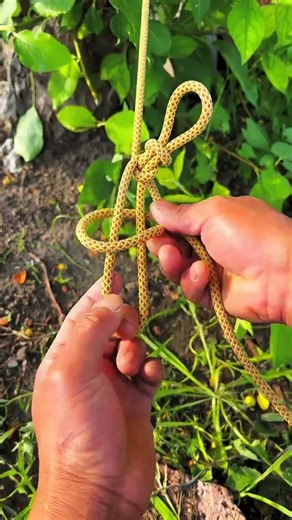 Tightening the clothesline and securing goods commonly use a taut-line hitch. #AgricultureFarming