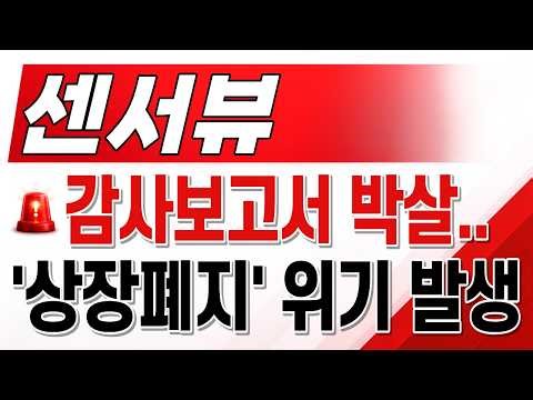 [SensorView Stock Forecast] Audit Report Absolutely Devastated... 'Delisting' Crisis Imminent?! M...