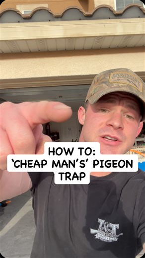 Trigger & Tail on Instagram: "Here’s a step-by-step on how I built my PIGEON trap! #birdtrapping #dogtraining #tools #birdcage #hunting"