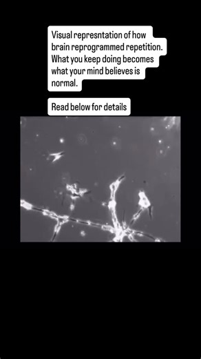 CA Gaurav Choudhary on Instagram: "Every thought you repeat becomes a neural instruction. When you intentionally search for gratitude, growth, or peace, your brain rewires itself to recognize safety and abundance. When you scan life for loss or threat, it programs itself for anxiety and defence. I share practical tools for reprogramming the mind connect if you feel called."