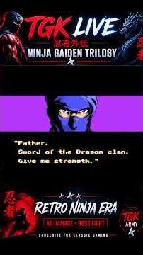 Ninja Gaiden 2 Hardest Boss Fight | NO DAMAGE Gameplay Part 13