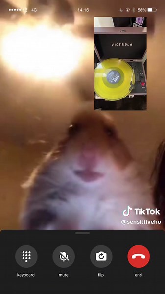 Title Fight Band: Hyperview Insights