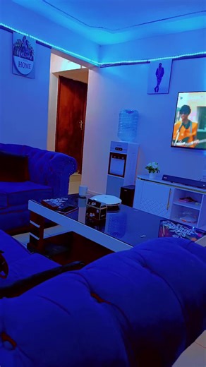 Explore the Ollyver 254 Collection: Daily Highlights