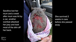 1.5K views · 129 reactions | This is important to me. The end goal of...