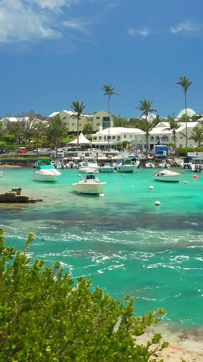 Discover Nadanja Bailey: Bermuda's Entertaining Taxi Driver