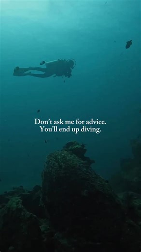 Don’t ask me for advice 😅 #diving #scuba #scubadiving #liveaboard #liveaboards #liveaboarddiving #scubadive #dive #diver #divers #scubadiver #scubadivers #scubalove #scubalife #scubaworld #scubalover #scubalovers #liveaboardlife | LiveAboard.com