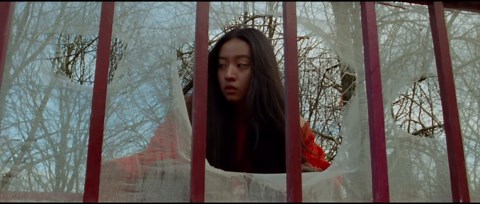 Tornado: Official Trailer