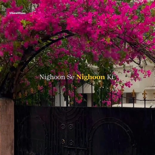 Chale Ana 💗👀 -- Lyrics | Lyrics Video | #lyricsvideo #songlyrics #hindisongs #lyricsreel #love