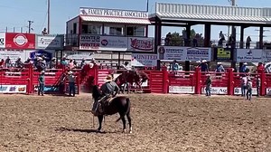 43 reactions |  Over the weekend our very own Jacob Benham won the Kansas Professional Rodeo Finals in Dodge City, KS!  Jacob came to his first clinic last fall, where he rode his first bronc. With natural horsemanship, a solid work ethic, and a humble attitude we knew Benham only had places to go! We swell with pride when our best do their best! Keep it up and ace the ride, Jacob!!!! | Ace High Rough Stock Academy | Facebook