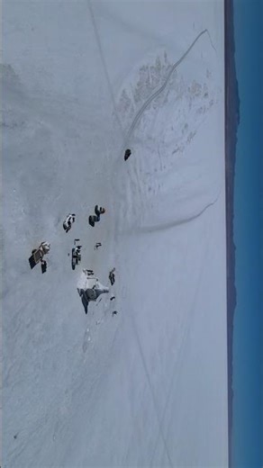 Bolivia Looks Like Another Planet 🇧🇴 #bolivia