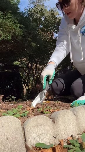 98 reactions · 4 comments | Annual flower planting for the baby we...