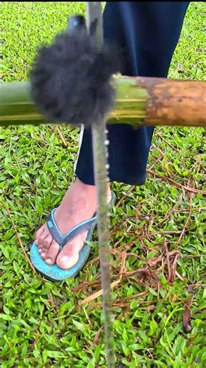 How to cut a bamboo? #greenrevolution #farming #greenrooftop