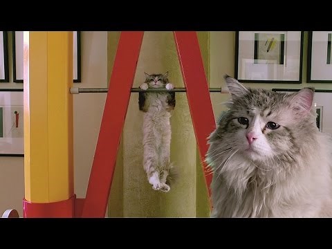 Nine Lives (2016 Comedy Film) - Official HD Movie Trailer