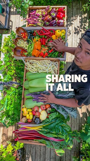 We gave it all and it felt good💚 Part III of our harvest and this was all about sharing. Everything that we harvested on this day, we happily gave to our families. Nothing tastes better than homegrown fresh goodness shared with our loved ones. #gardening #asmrsounds #asmr #calming #thankfulgratefulblessed | Plantedinthegarden