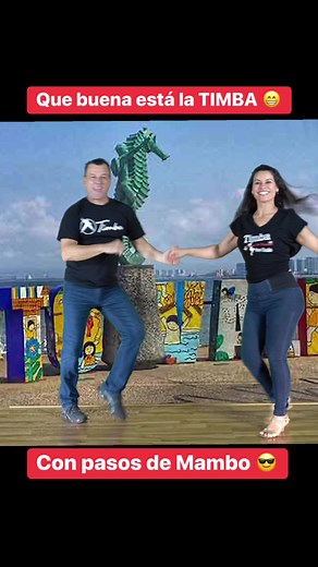 4.3K views · 89 reactions | TIMBA Cubana pa’ gozar  #timbacubana #mambo #cubanstyle #salsacubana #festivales #ruedadecasino #salsadancing #salsaspain #salserosdecorazon #veracruzmexico #puertovallartamexico #nuevovallarta #elpasotx | Eddy Timba Dance Zayas | Facebook