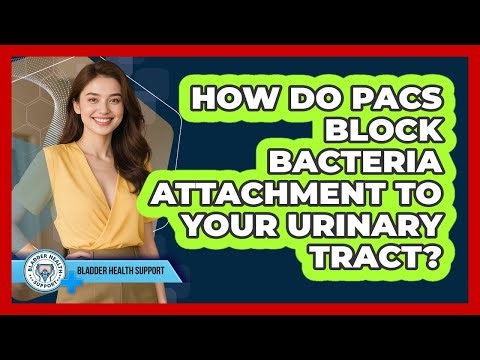 How Do PACs Block Bacteria Attachment To Your Urinary Tract?