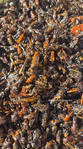 Our best selling Wild edible spiders! Limited stock . Shipping Pan India #localbusiness #recipe #wednesdayspecial #culturalheritage | The Rumbling Spoons