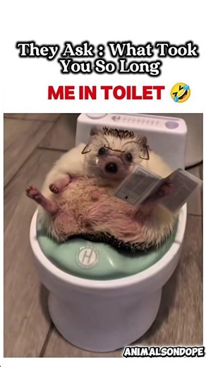 plot twist ending #funny