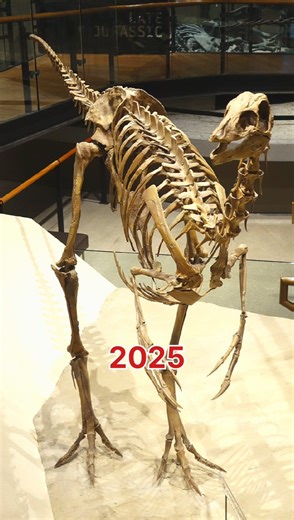 Ornithomimus – The Fastest Dinosaur Sprinter 🦖 #dinosaur