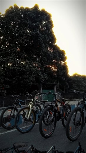 ⚡ MTB Stunt Madness | Ultimate Riding Skills🎥 Epic MTB Cycle Stunts | Cinematic Ride💥 Dangerous MTB