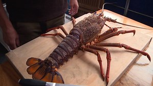 14M views · 27K reactions | VIDEO Popcorn Crayfish | Ultimate Fishing | Facebook