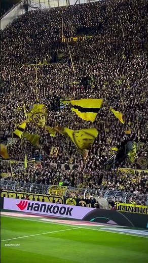 BVB 09 - Yellow Wall
