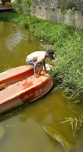 Good at catching fish | អារម្មណ៍-felling