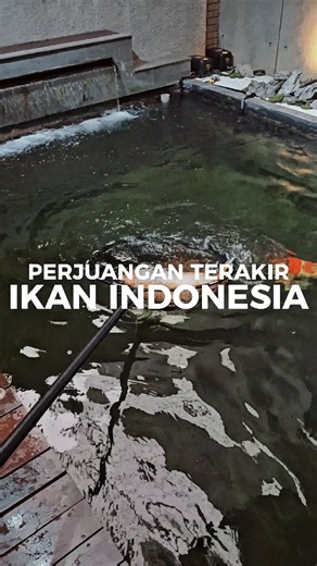 JAVA FRESH AQUATIC on Instagram