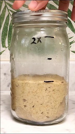 Let’s Make Marbled Rye Bread Dough with Sourdough Starter
