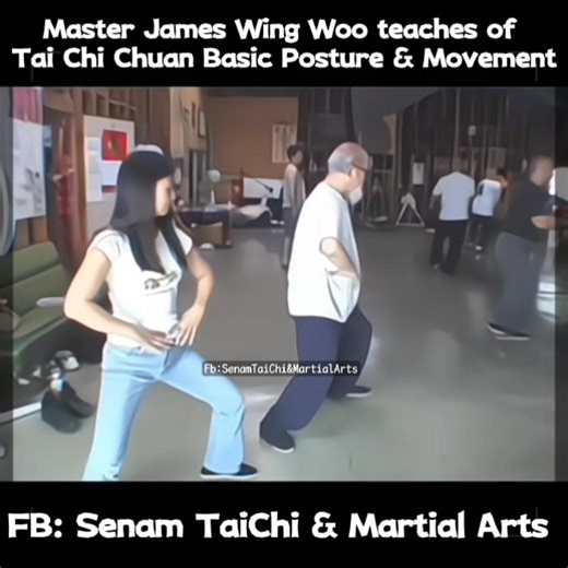 Master James Wing Woo (Yang Chengfu's lineage) teaches of Tai Chi Chuan Basic Posture & Movement. #oldvideooftaichipioneer #yangchengfutaichilineage #taichimaster | Senam Tai Chi & Martial Arts