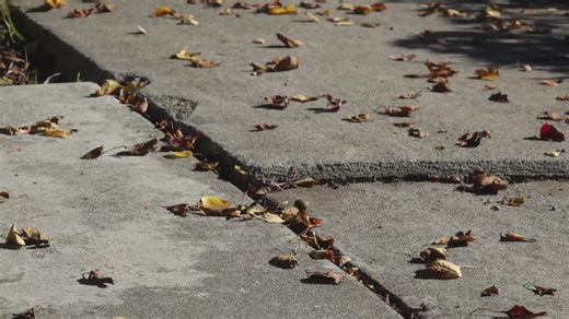 Davis woman awarded $18 million after trip-and-fall on defective sidewalk leaves her quadriplegic