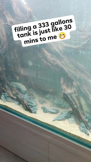 just play | CHASE Aquatics