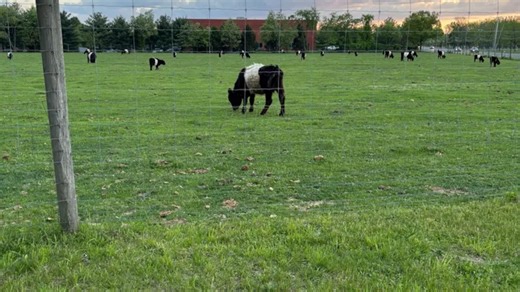 Trump administration joins bitter fight to block N.J. town from seizing 175-year-old family farm