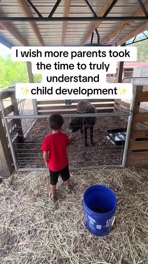 388K views · 5K reactions | Understand child development 易 類  #montessori #montessoriathome #montessoritoddler #praise #childdevelopment #cde #ece #parenting #positiveparenting #consciousparenting #newmom #firsttimemom #boyMom #girlmom #boydad #girldad | motherhood.and.montessori | Facebook