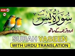 Surah Yaseen with Urdu Translation | Emotional & Peaceful Recitation by Qari Ismail Al Nouri