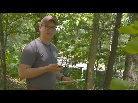 Geocaching Tips and Tricks