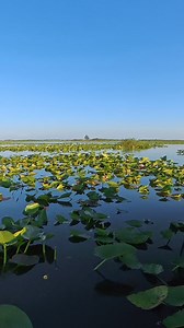 Grumpy Old Men #fishing#lakekissimmee#panfishing#crappie#crappiefishing#shellcracker SWAMP STIXX Custom RodsK9 Fishing ProductsEverlasting Slip BobberSlick Sticks Custom RodsGamakatsu USA, Inc.Insta360 | Branden Scott